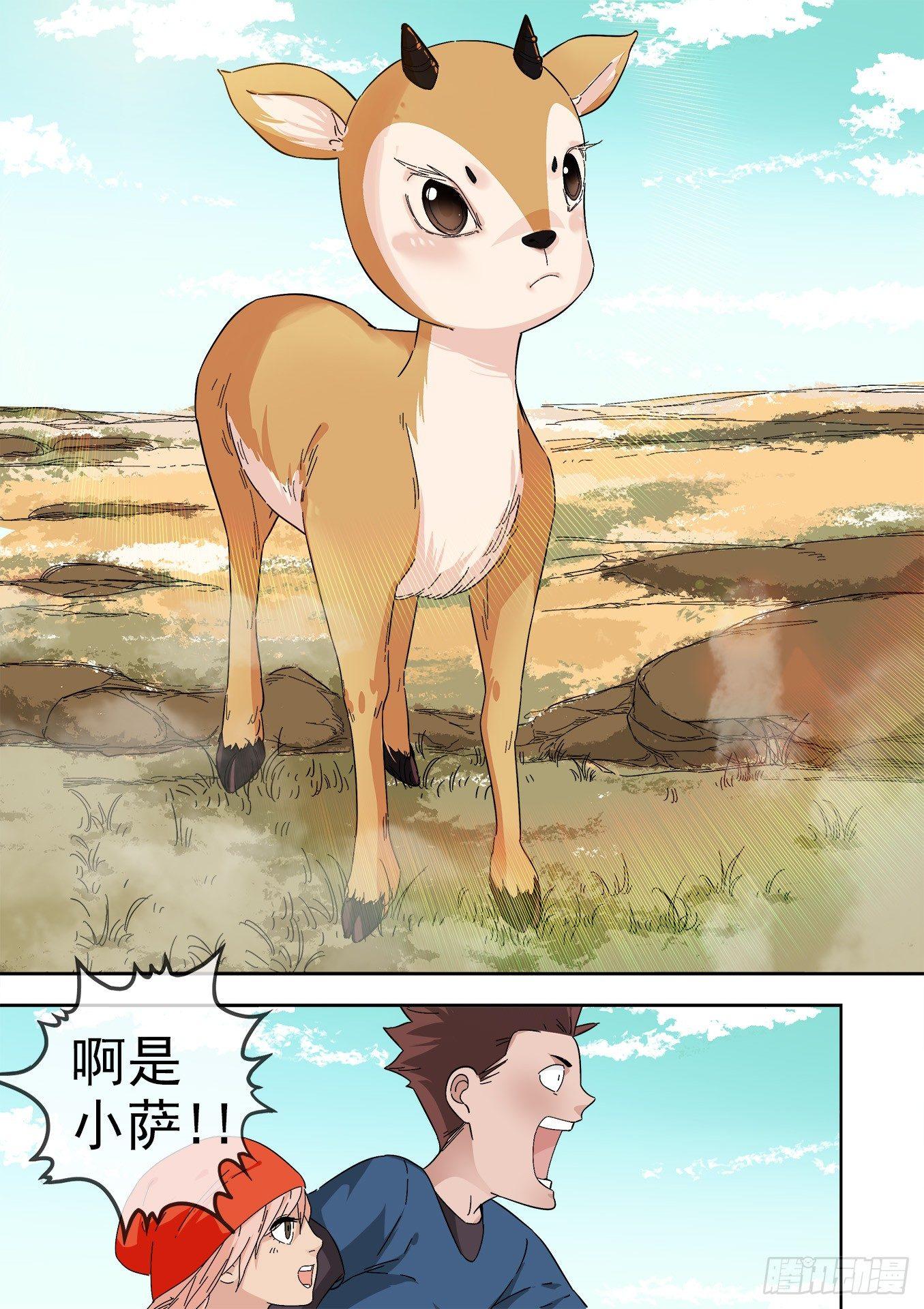 12.藏羚王11