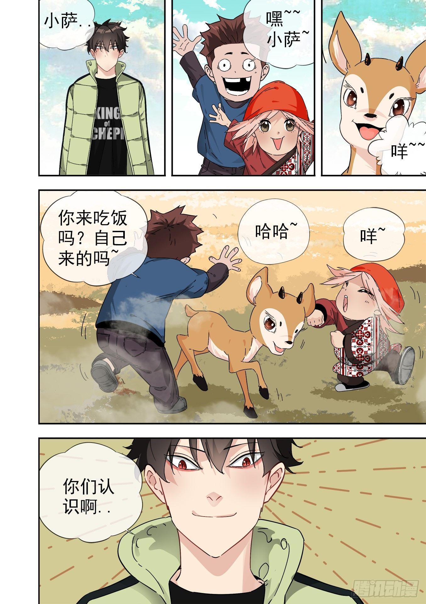12.藏羚王12