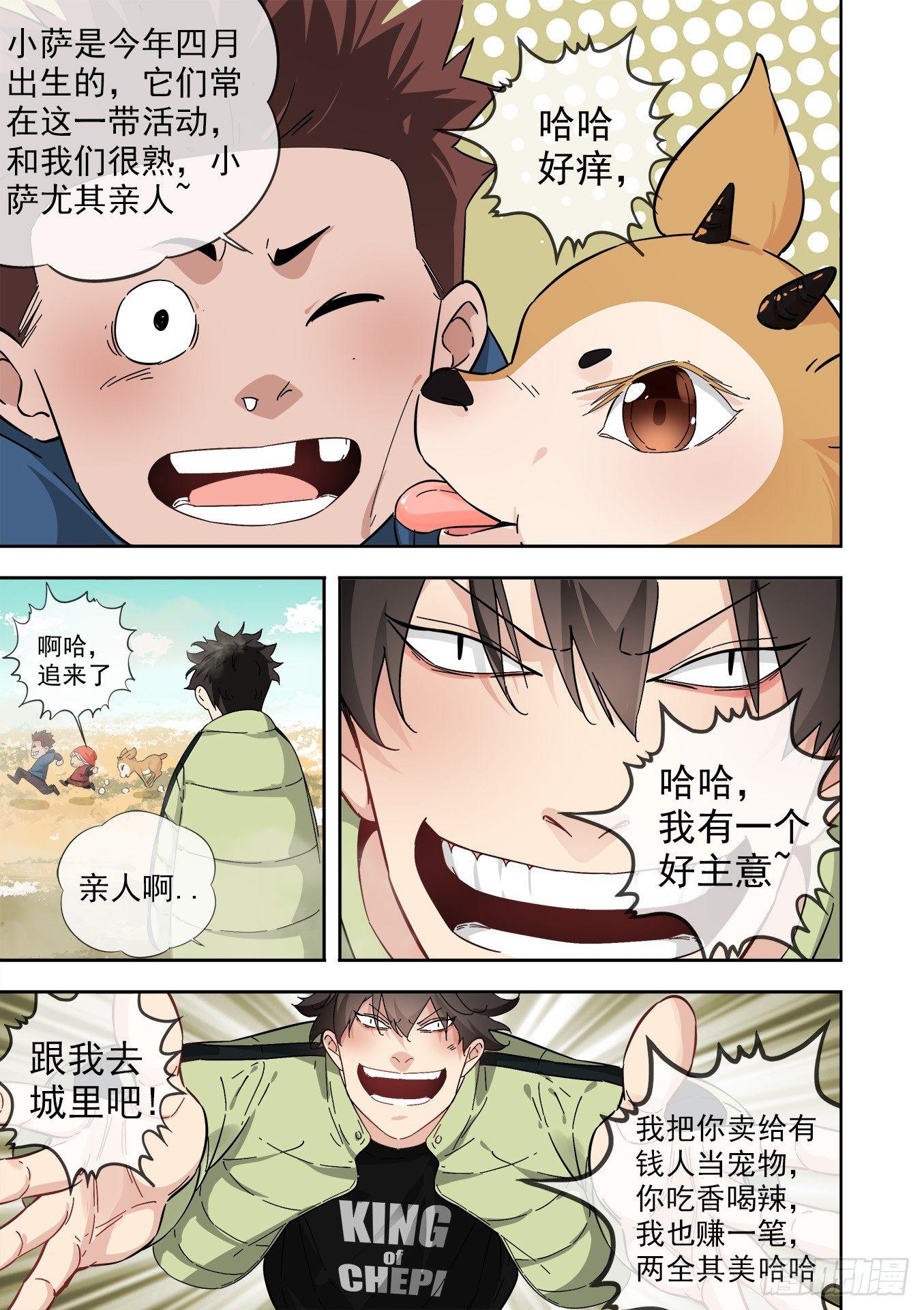 12.藏羚王13