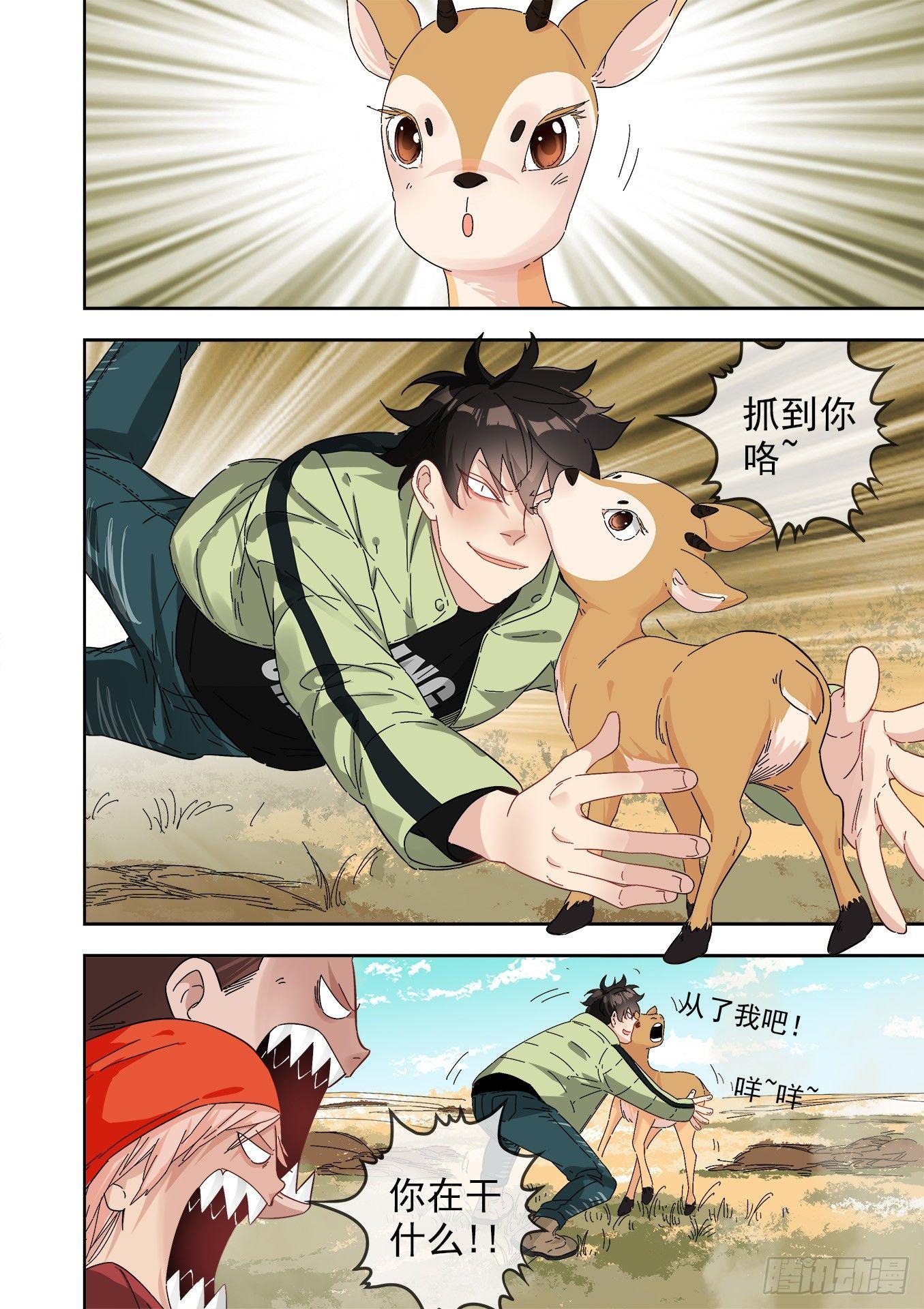 12.藏羚王14