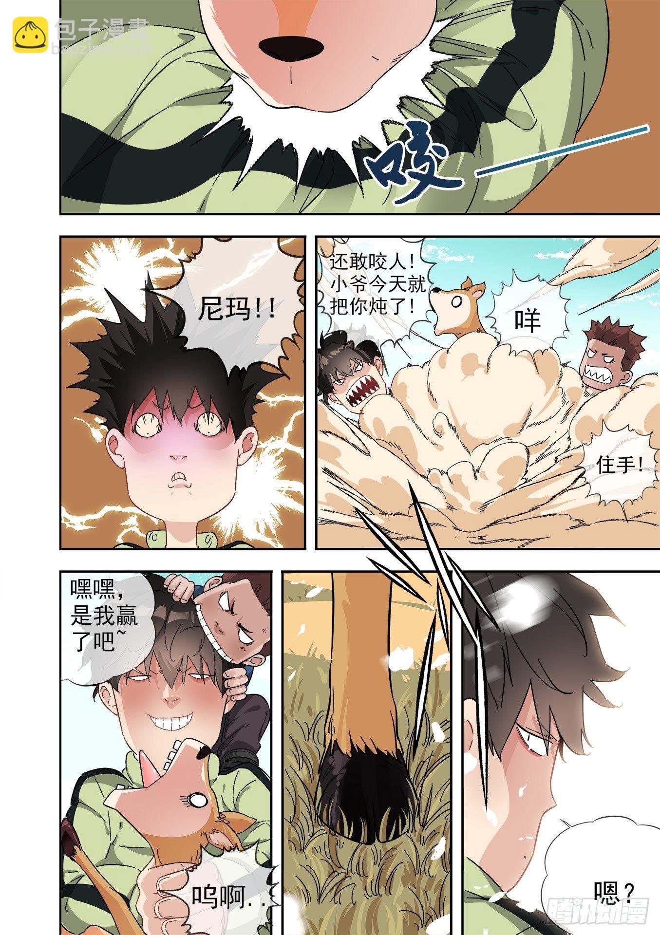 12.藏羚王16