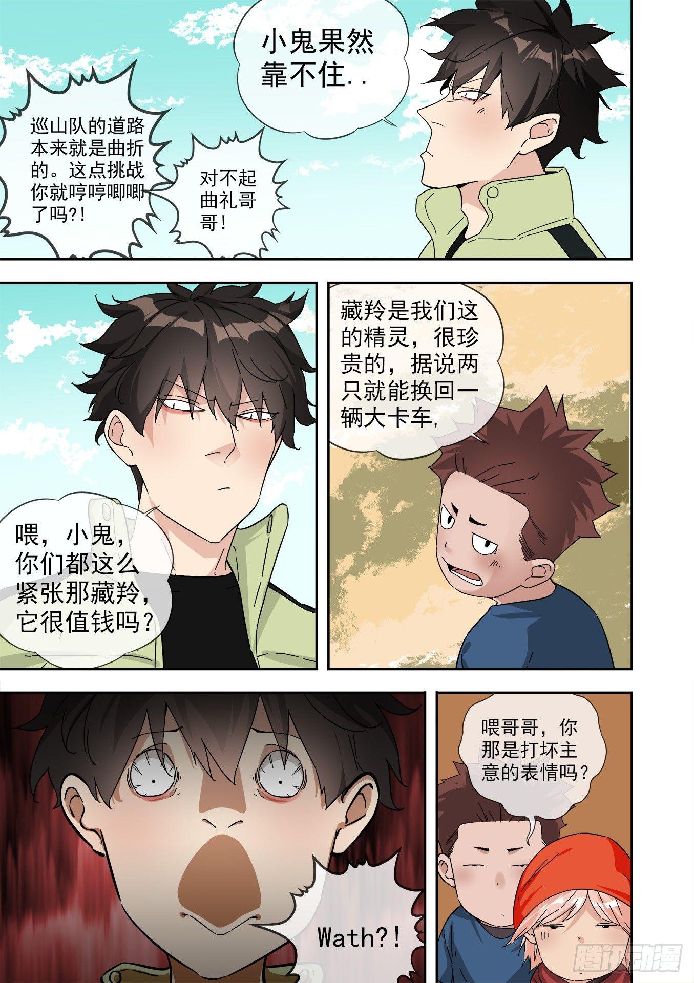 12.藏羚王9