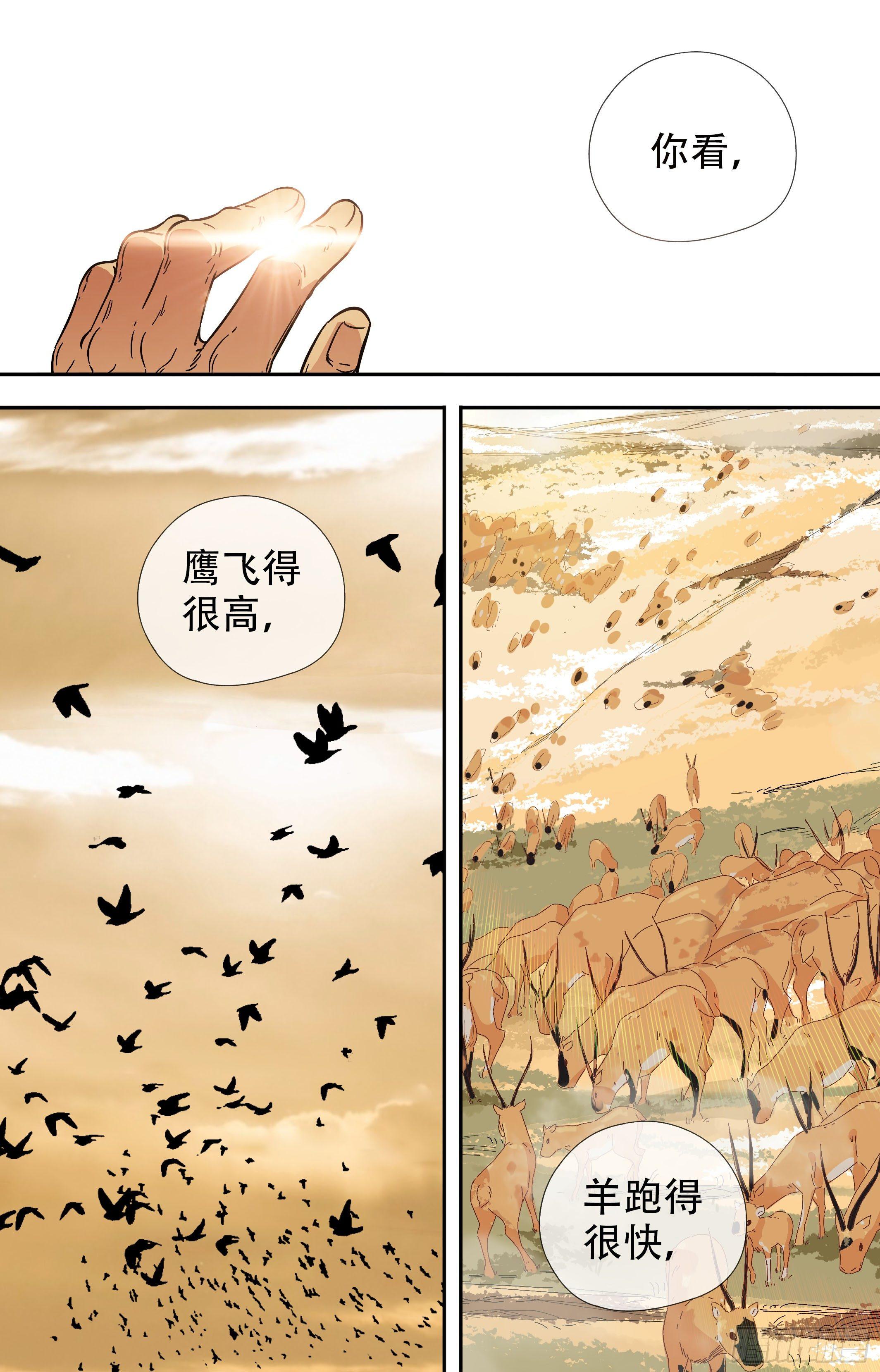 39.鹰飞得很高，羊跑得很快12