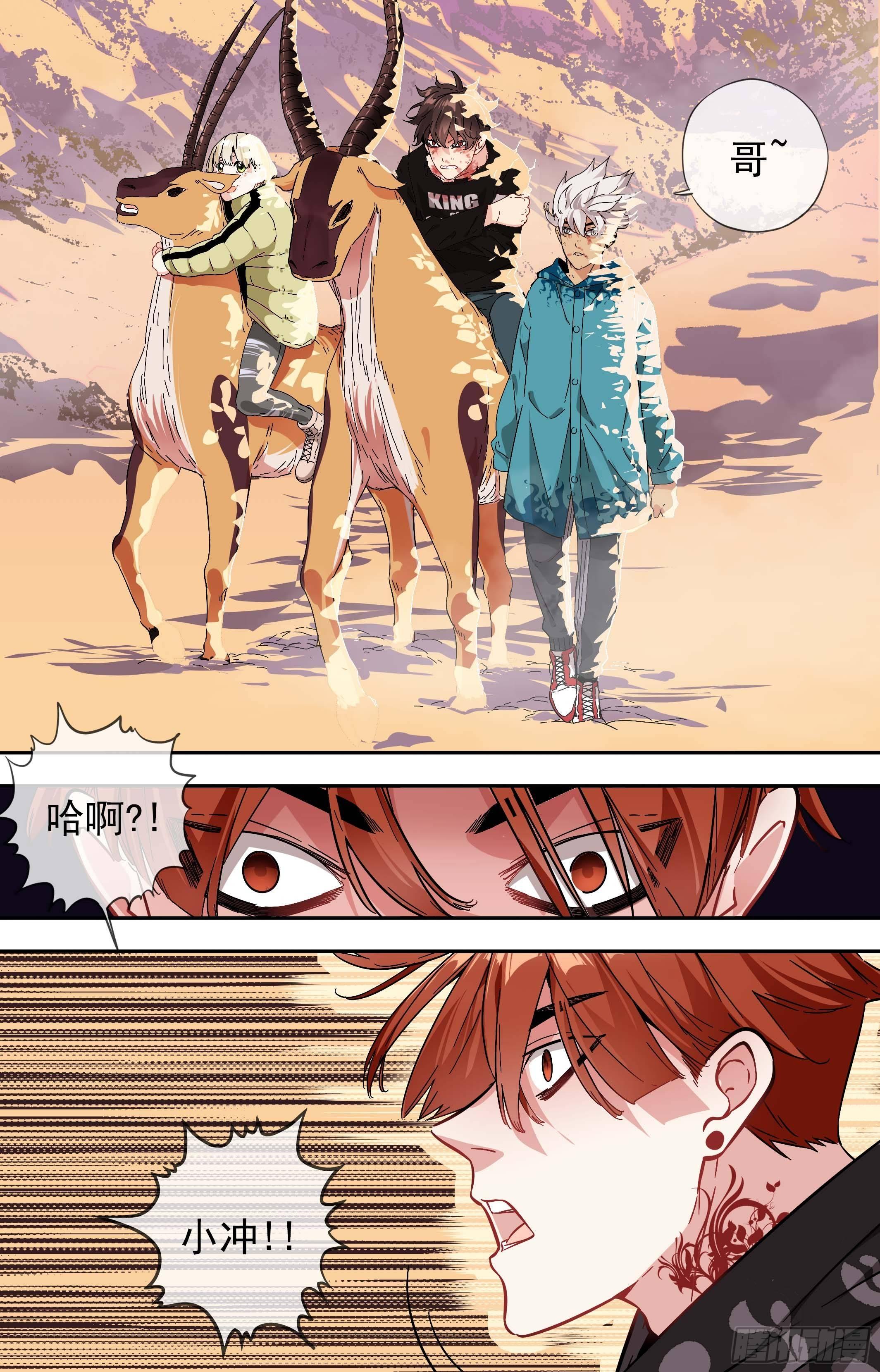 可可西里512