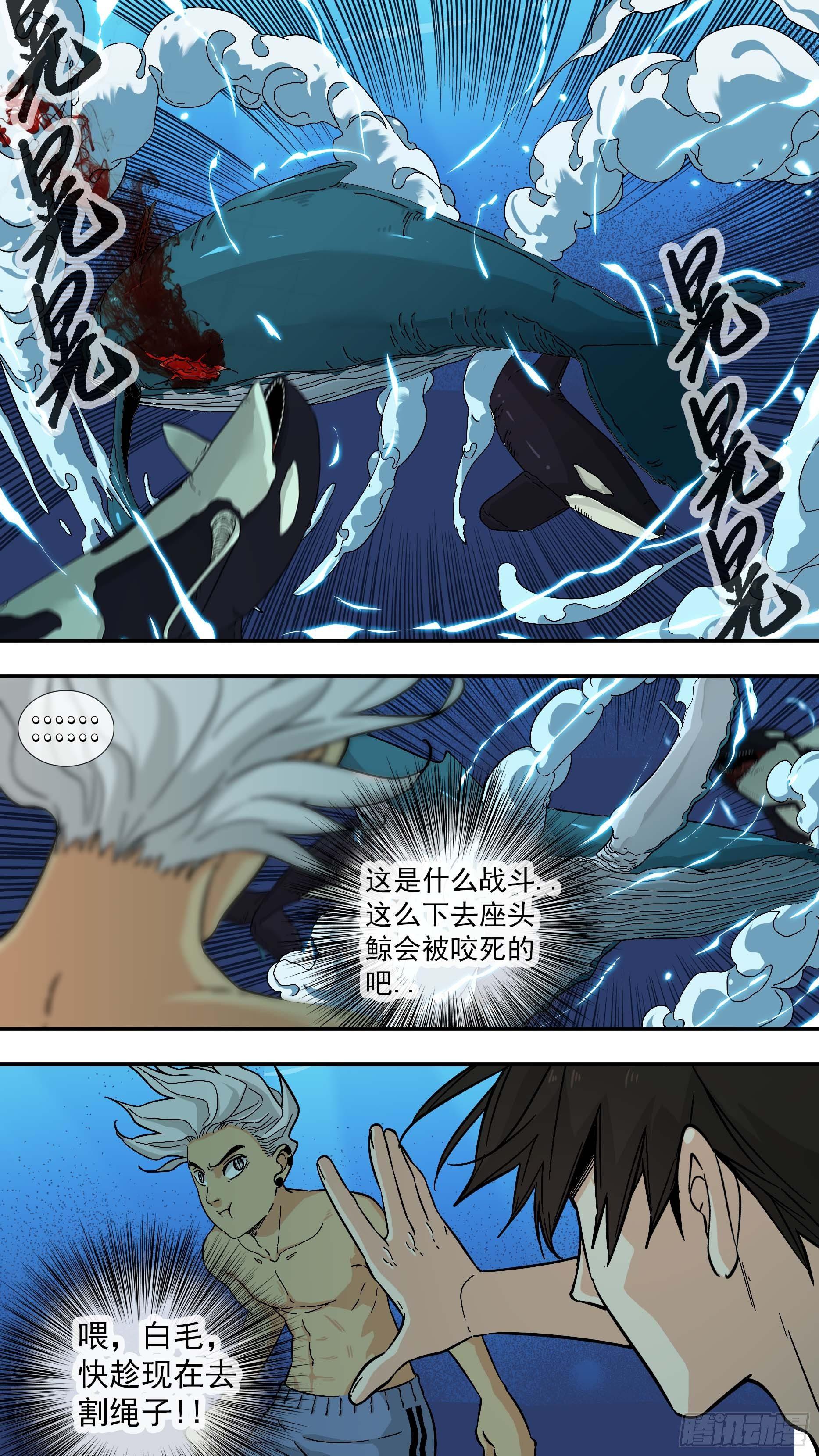 【鲸落】座头鲸VS虎鲸3
