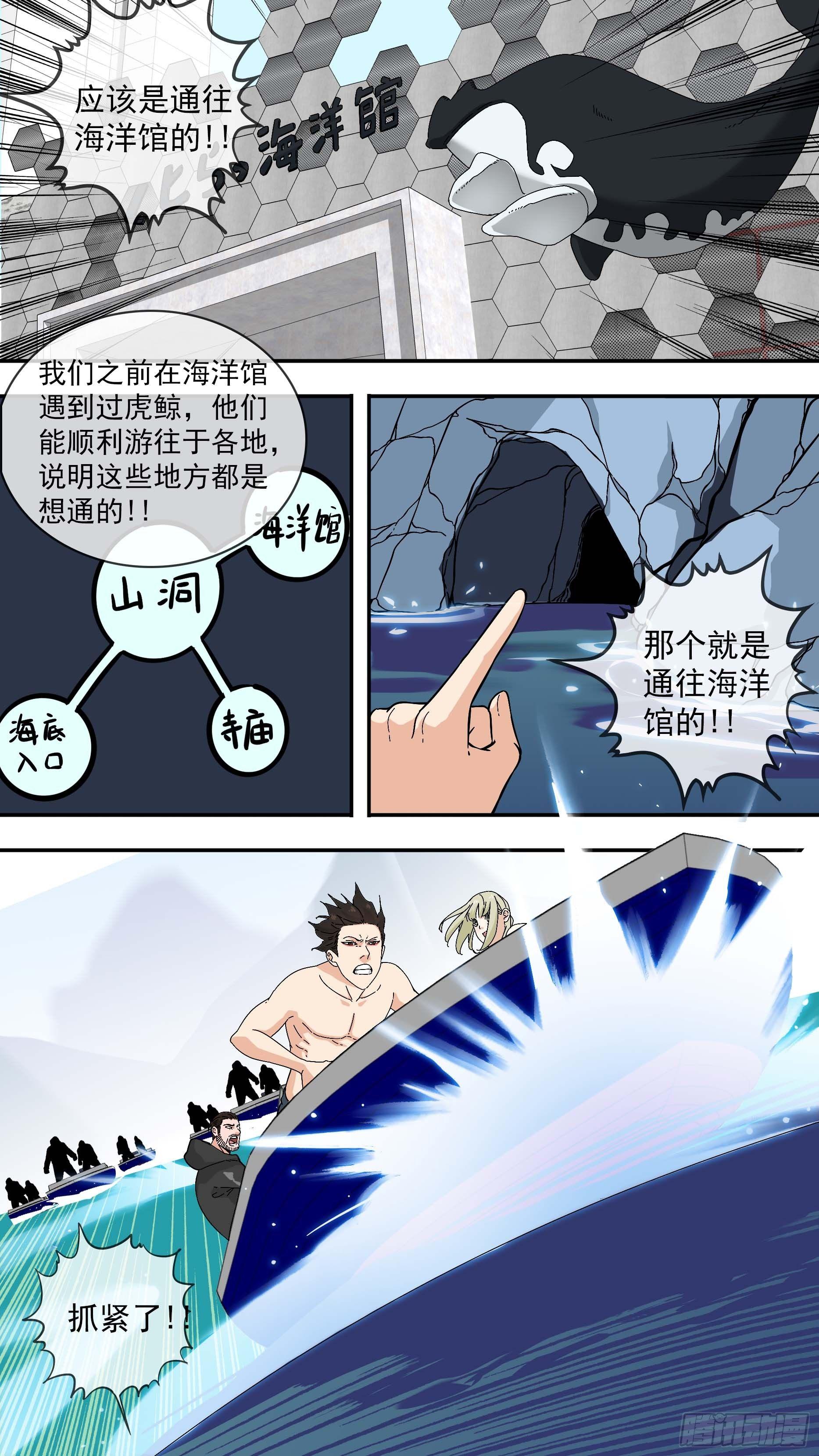 虎鲸19