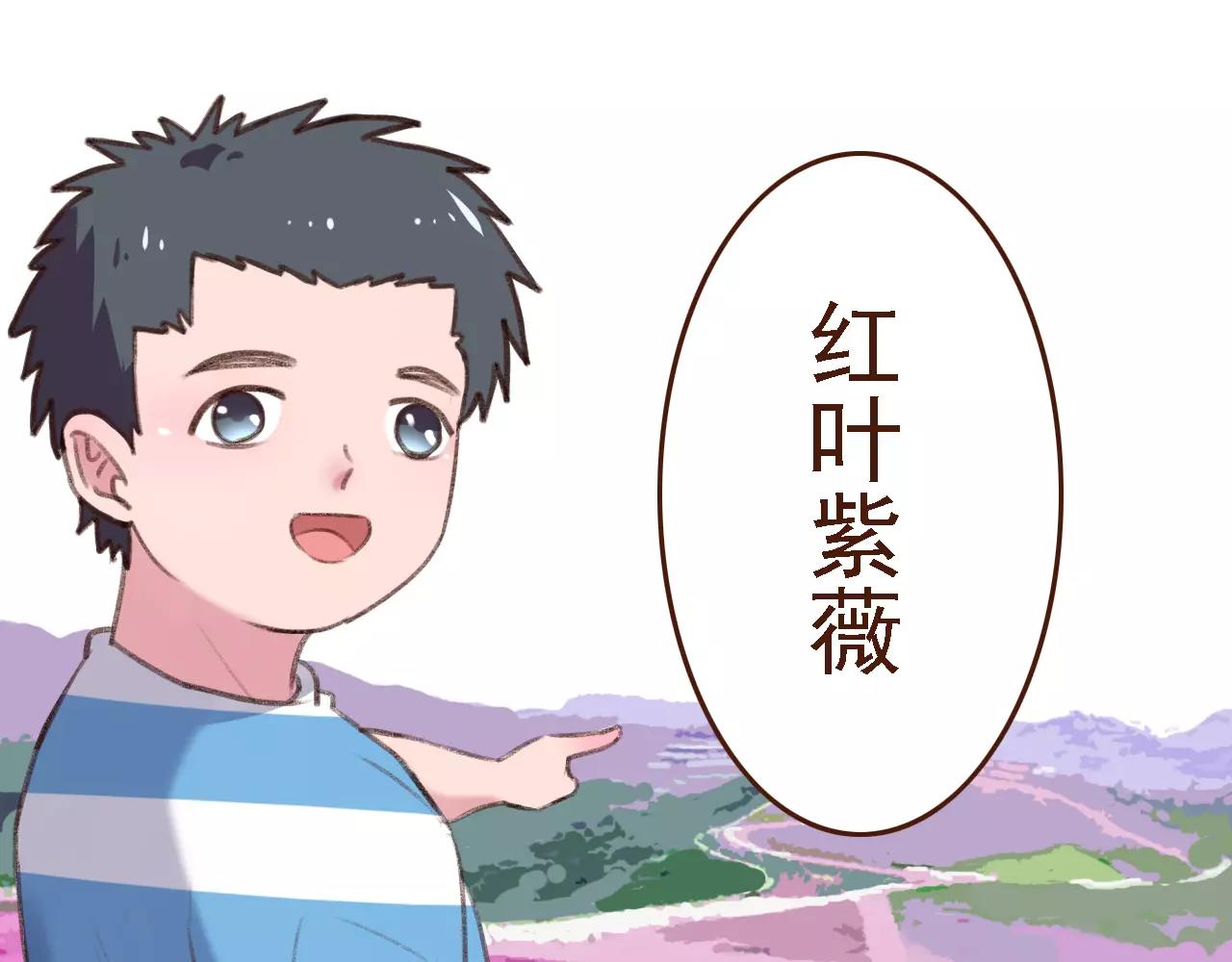 第9话 鲜花要插在粪土上13