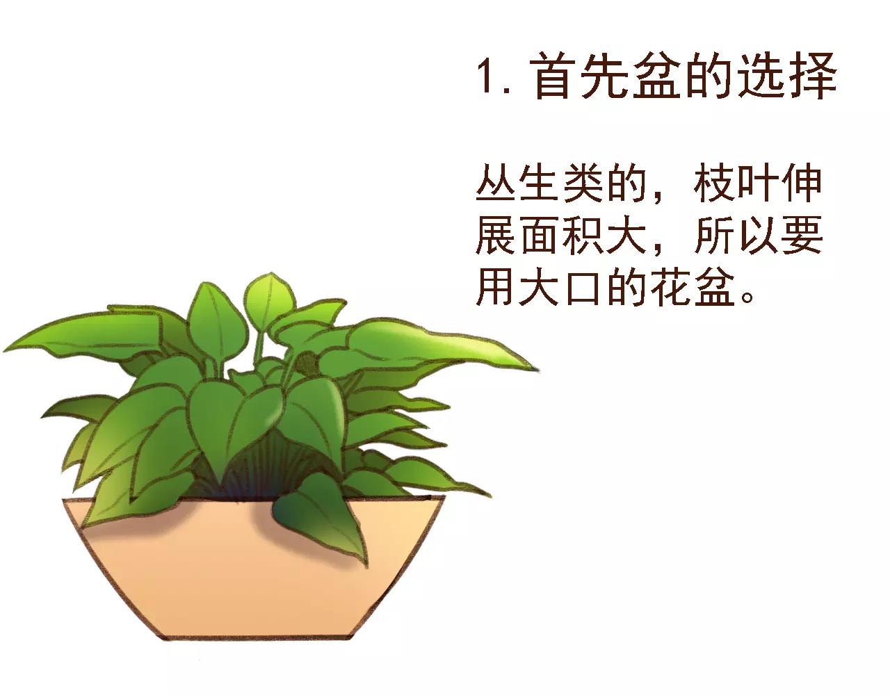 第19话 好朋友？41
