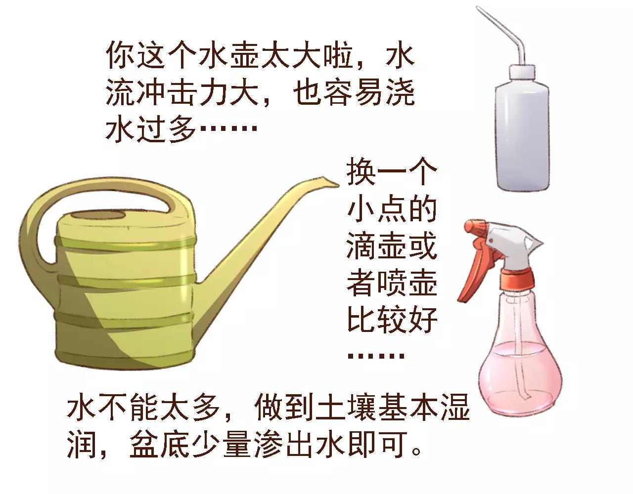第19话 好朋友？63