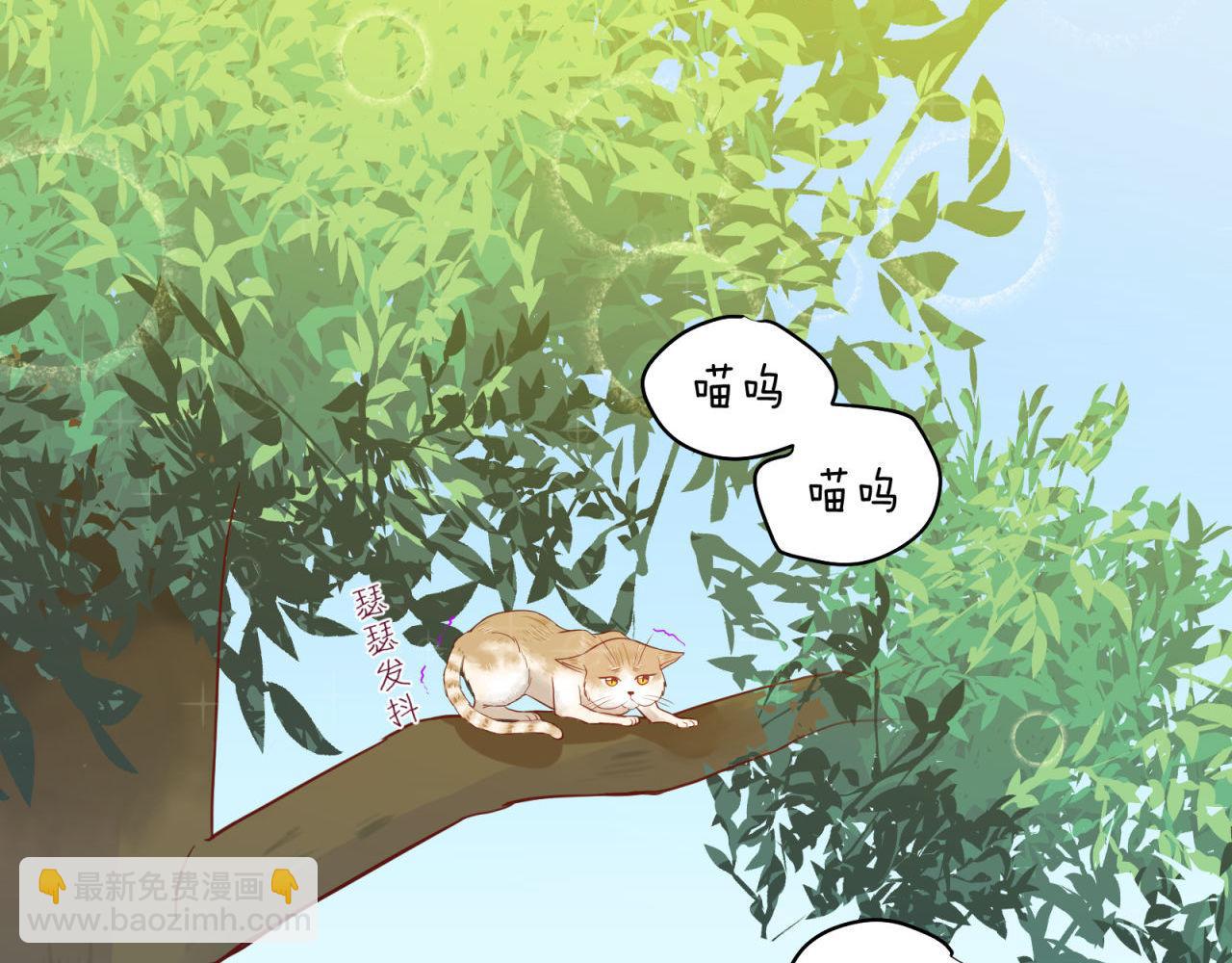 第37话 陌生男人6