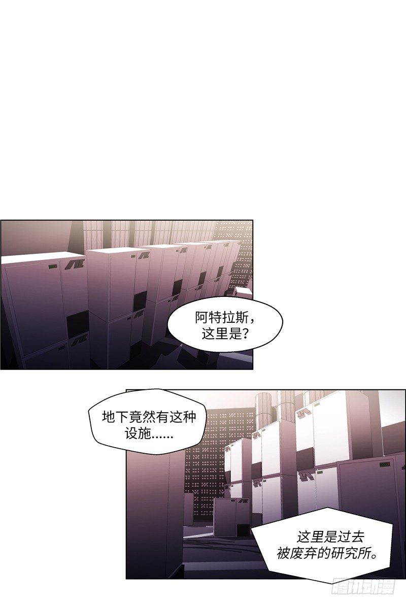 大师西涅 205