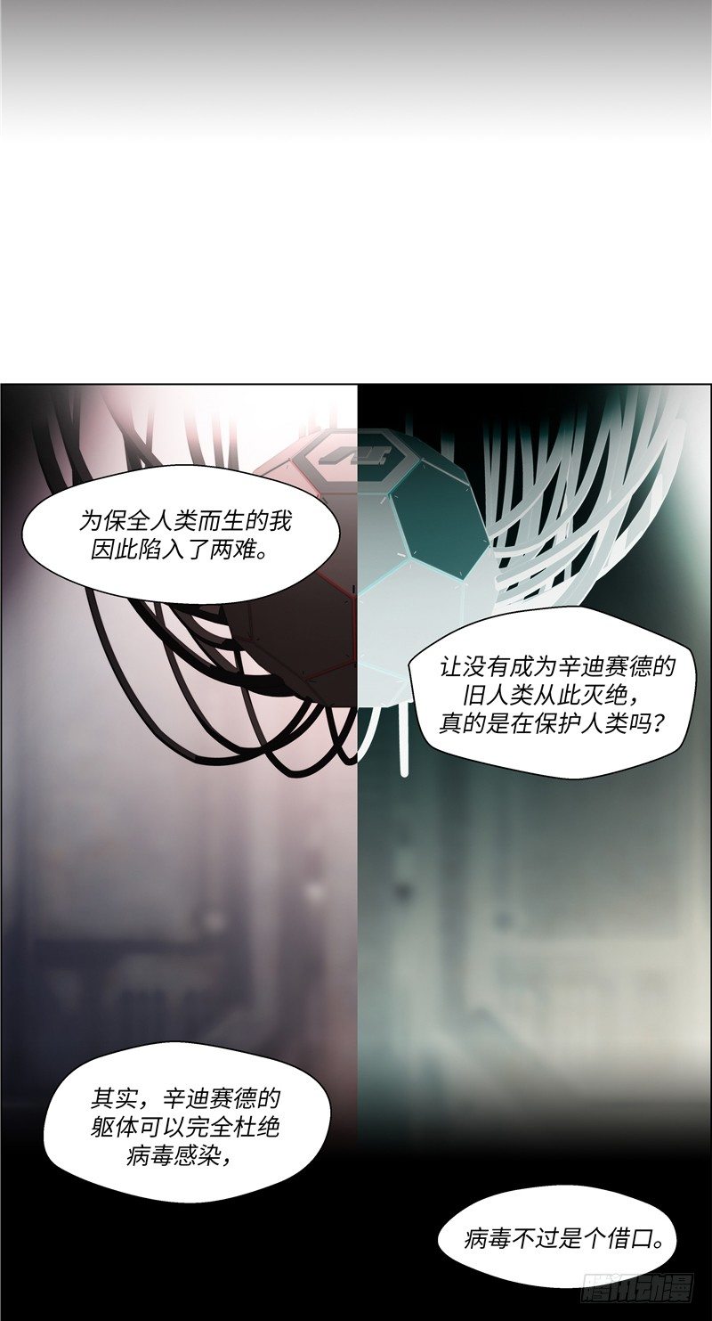 大师西涅 221