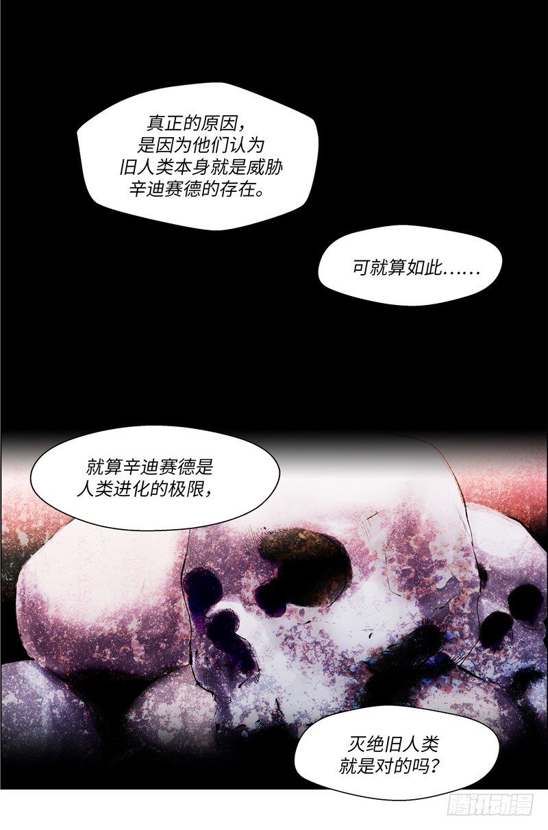 大师西涅 222
