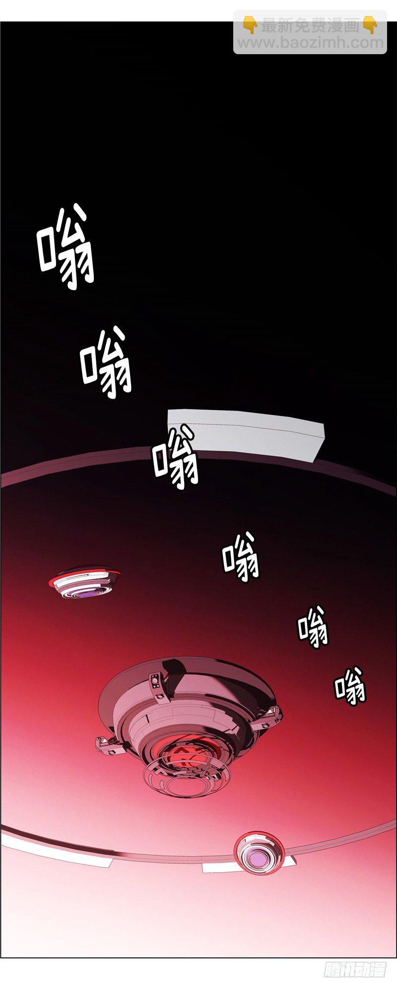 大师西涅 2516