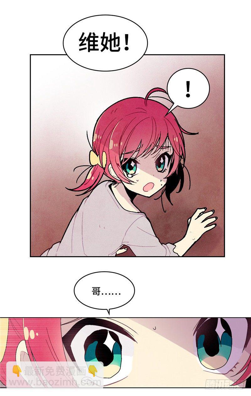 大师维她 513