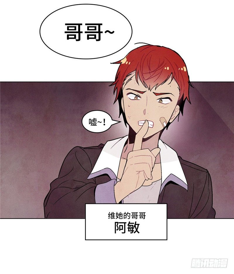 大师维她 514