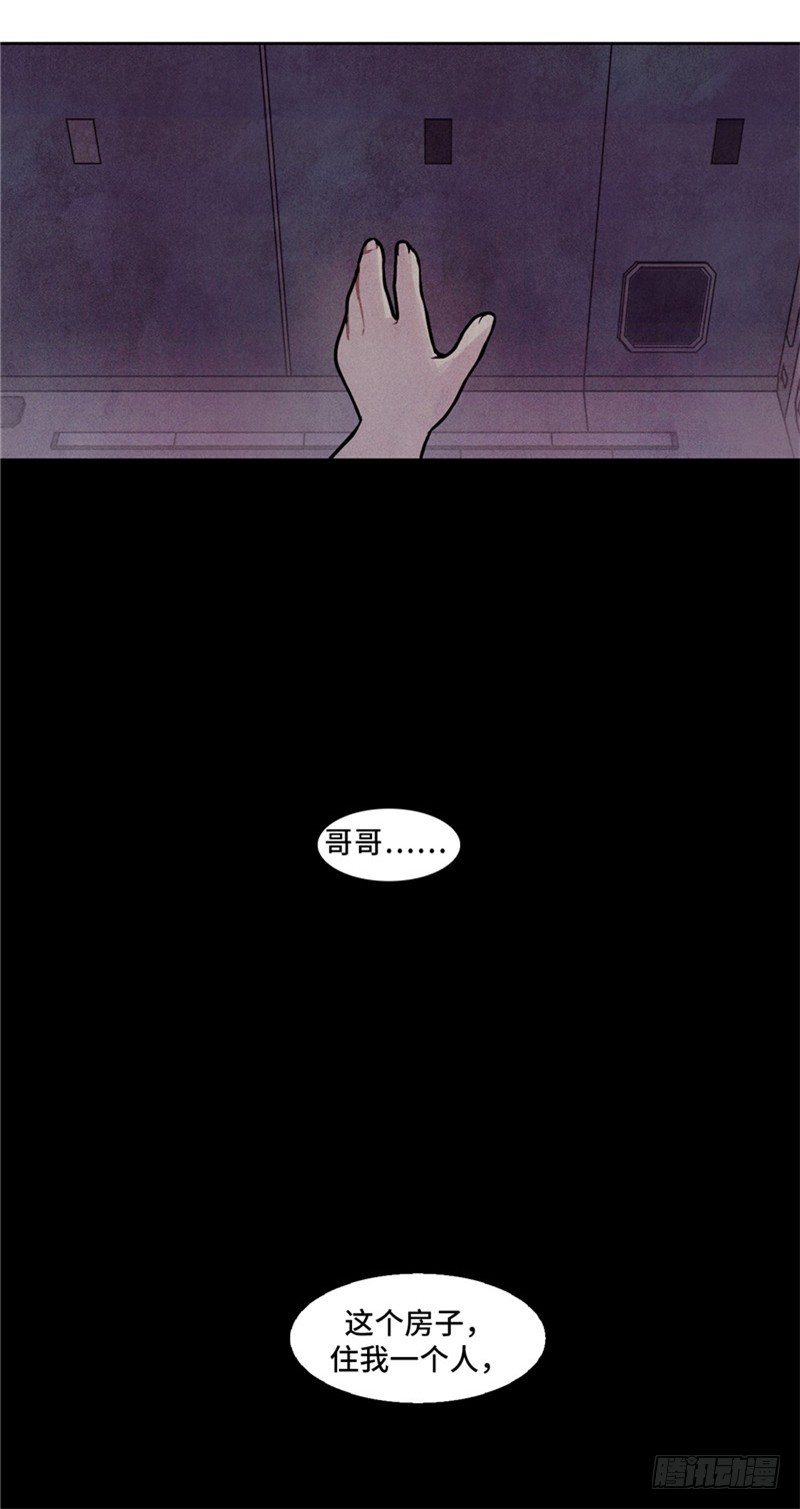 大师维她 913