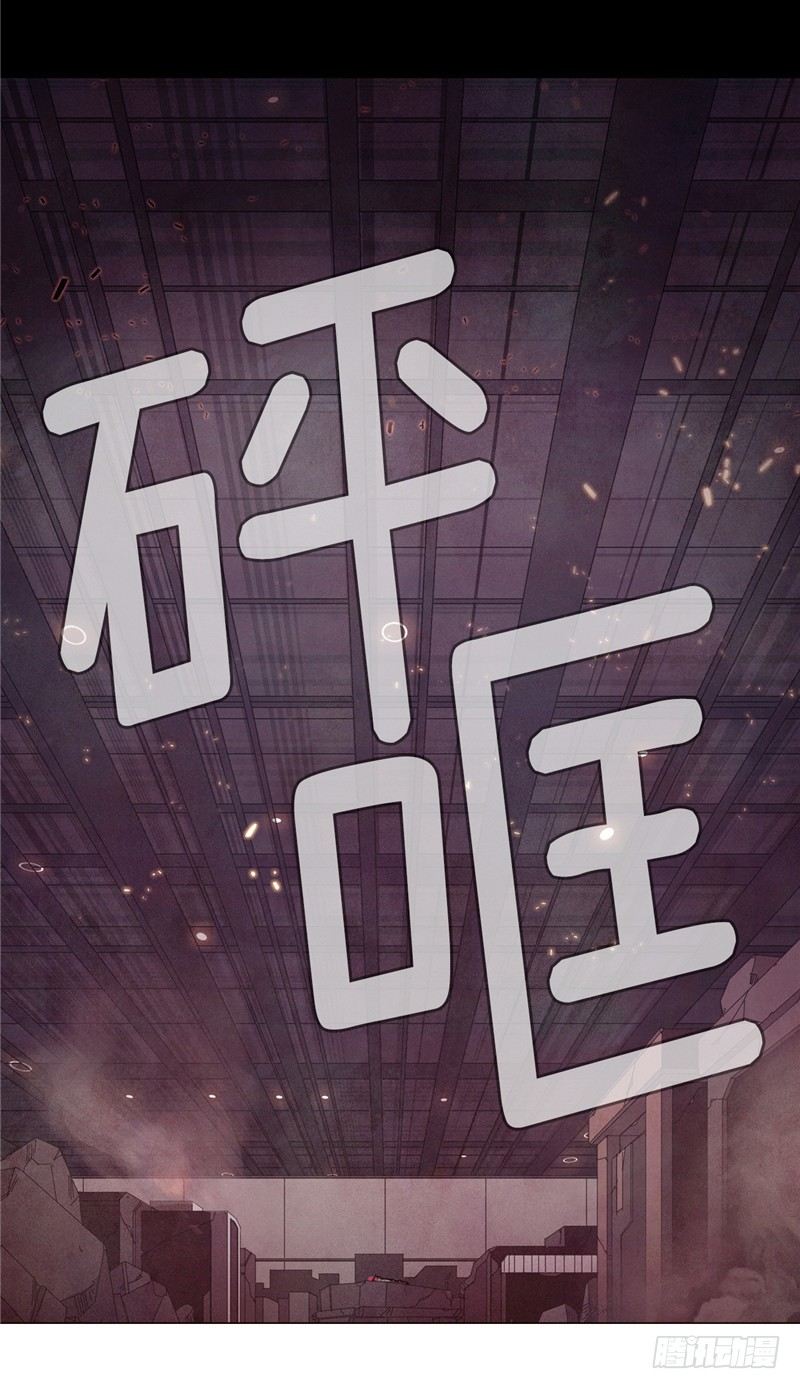 大师维她 1217