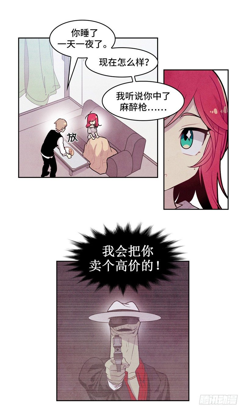 大师维她 137