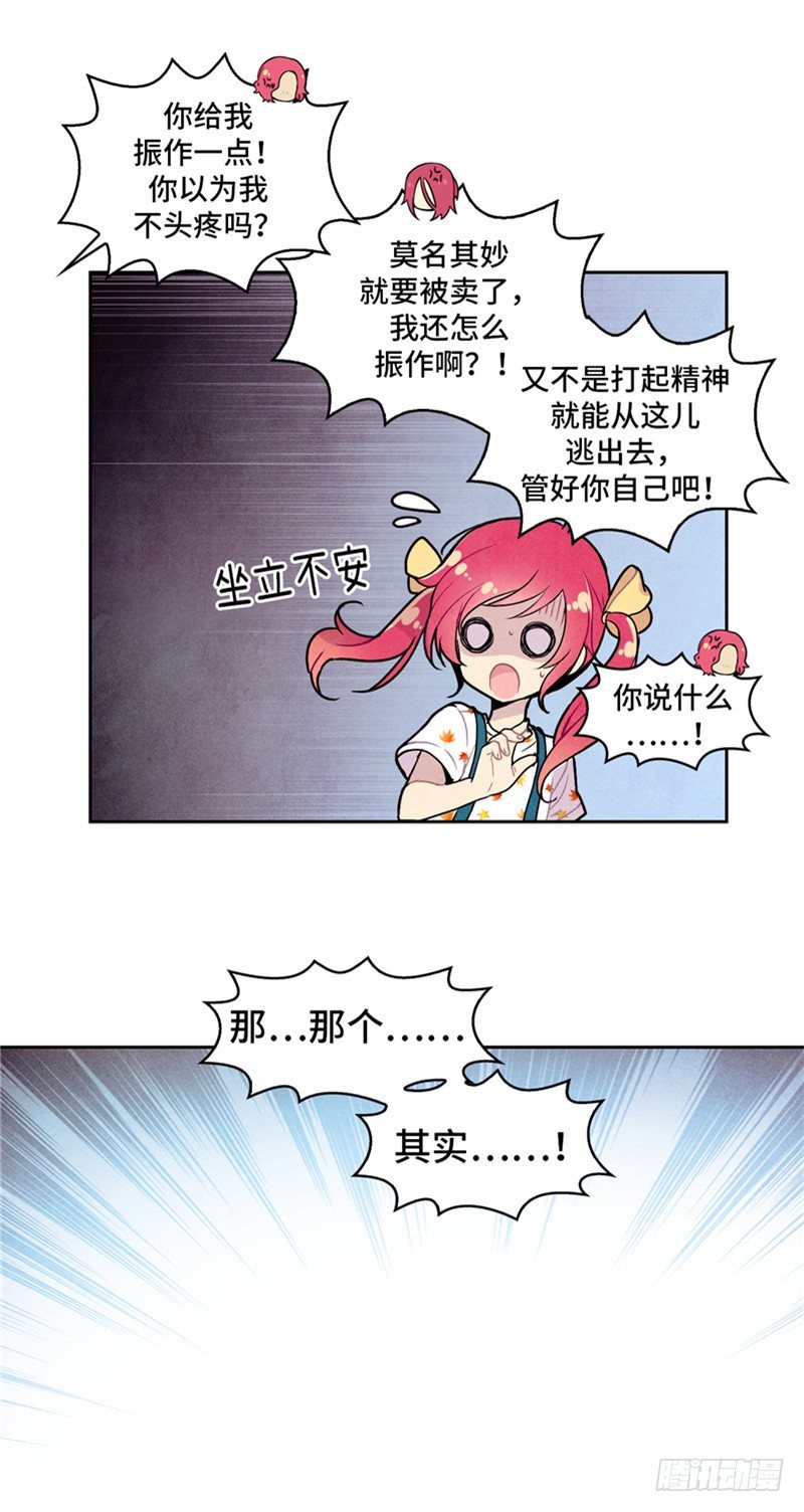 大师维她 2014