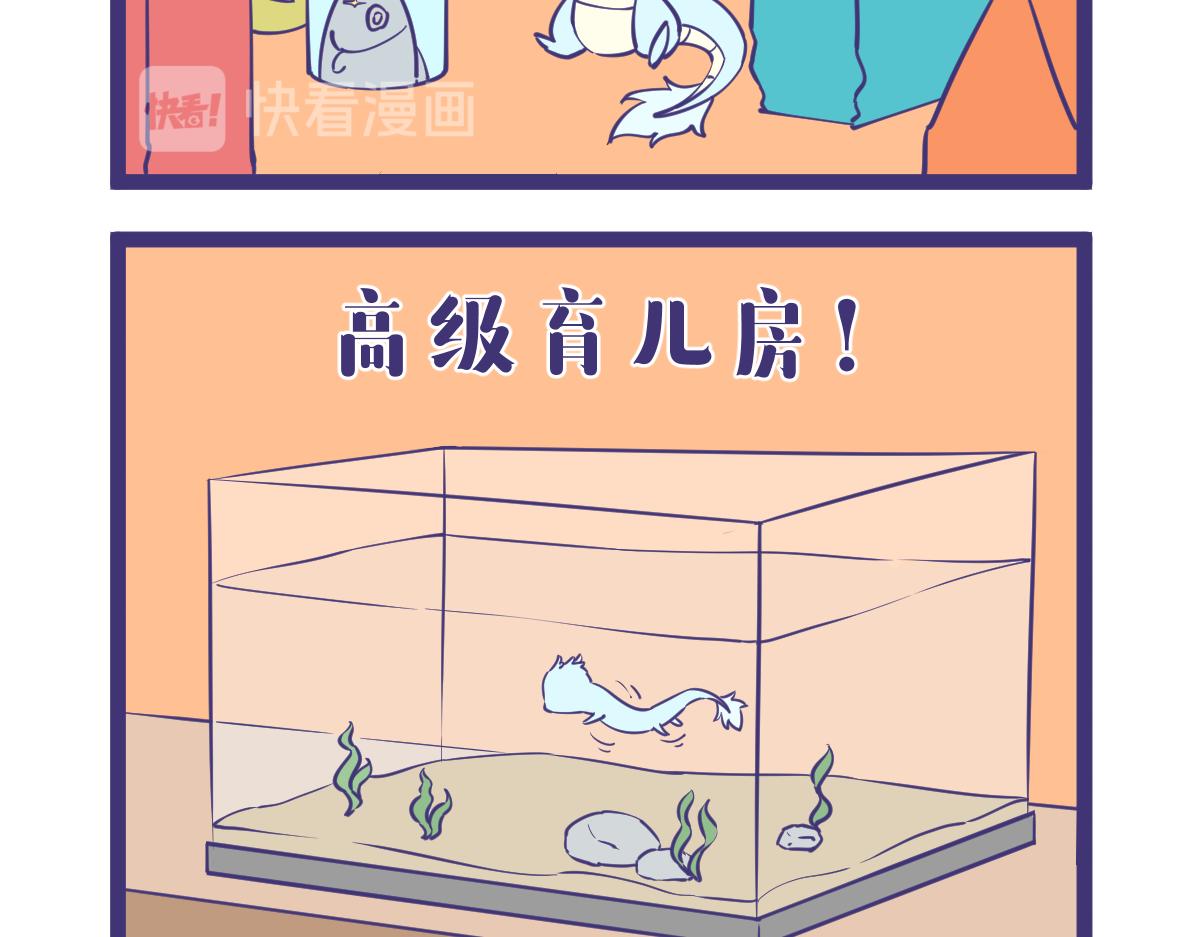 龙女童年篇，突入！10