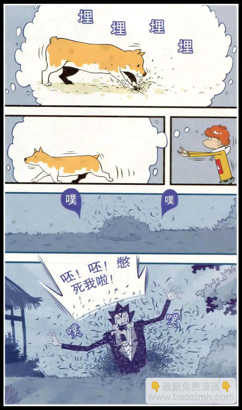 第213期13