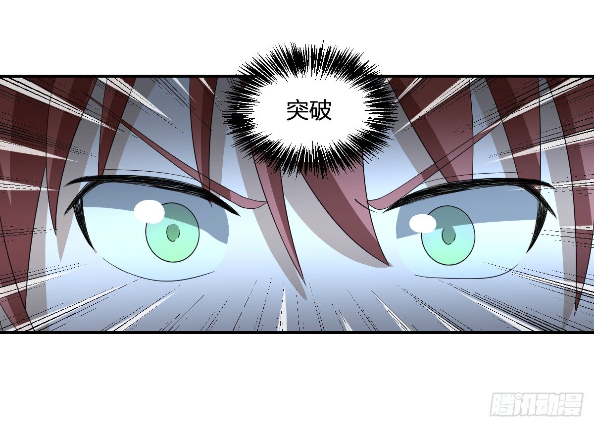 13-九菊一派22