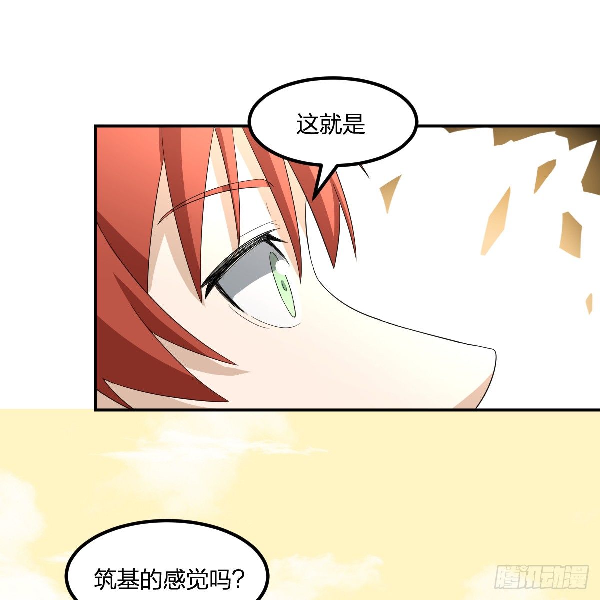 13-九菊一派24