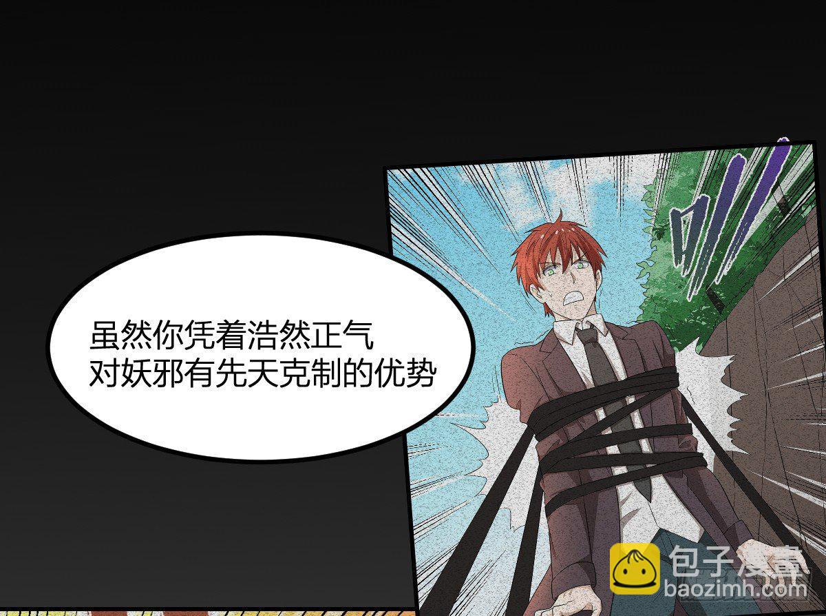 13-九菊一派5