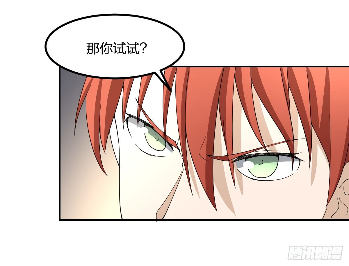 13-九菊一派64