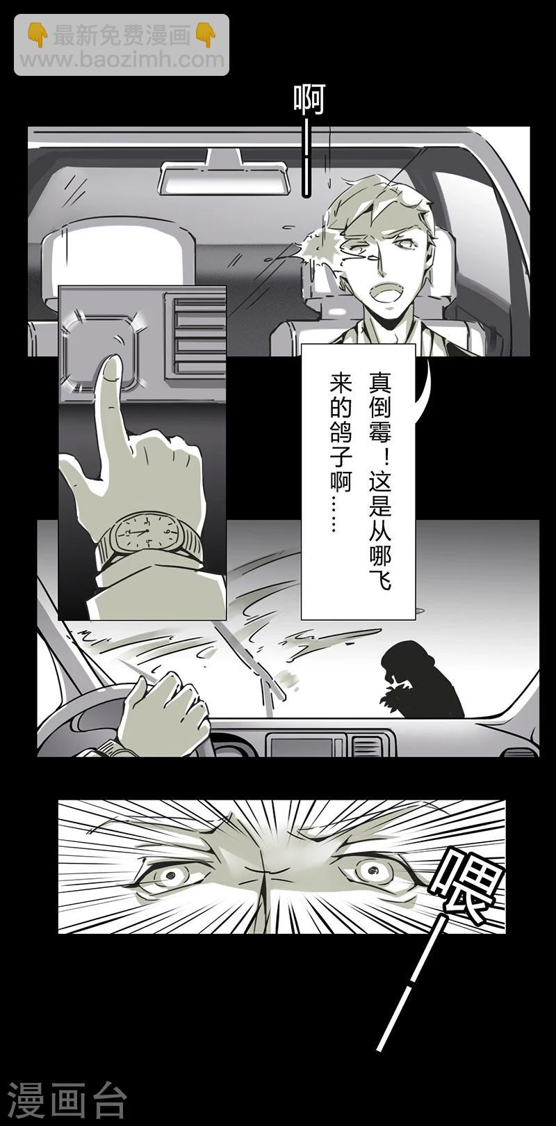 第16话 鸽子5