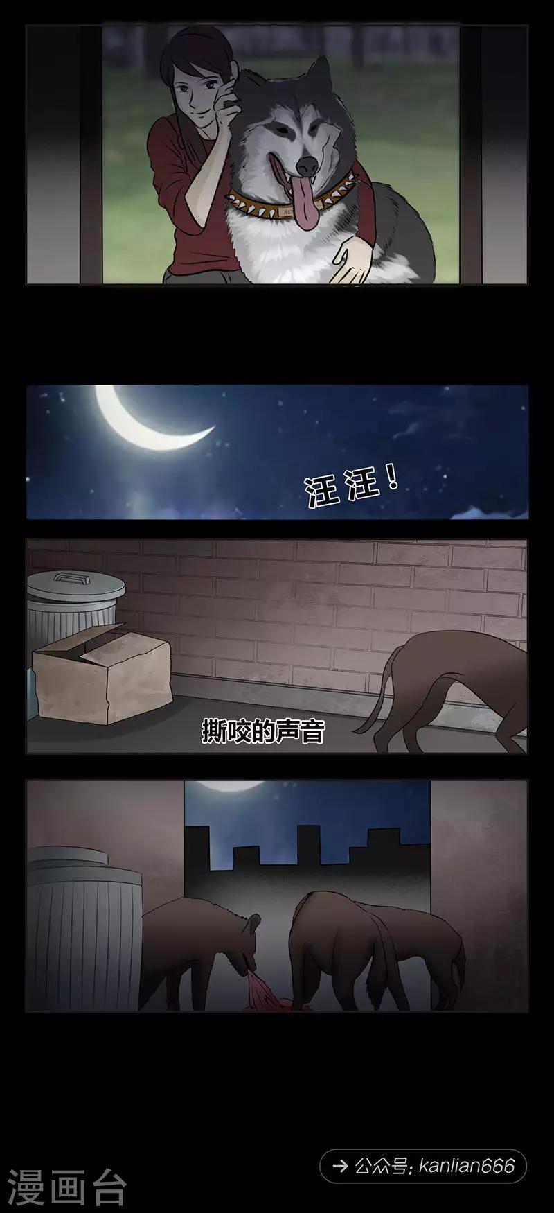 第94话 现实一种11