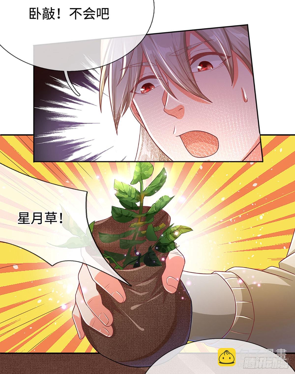 第17话 天才更要努力才行14