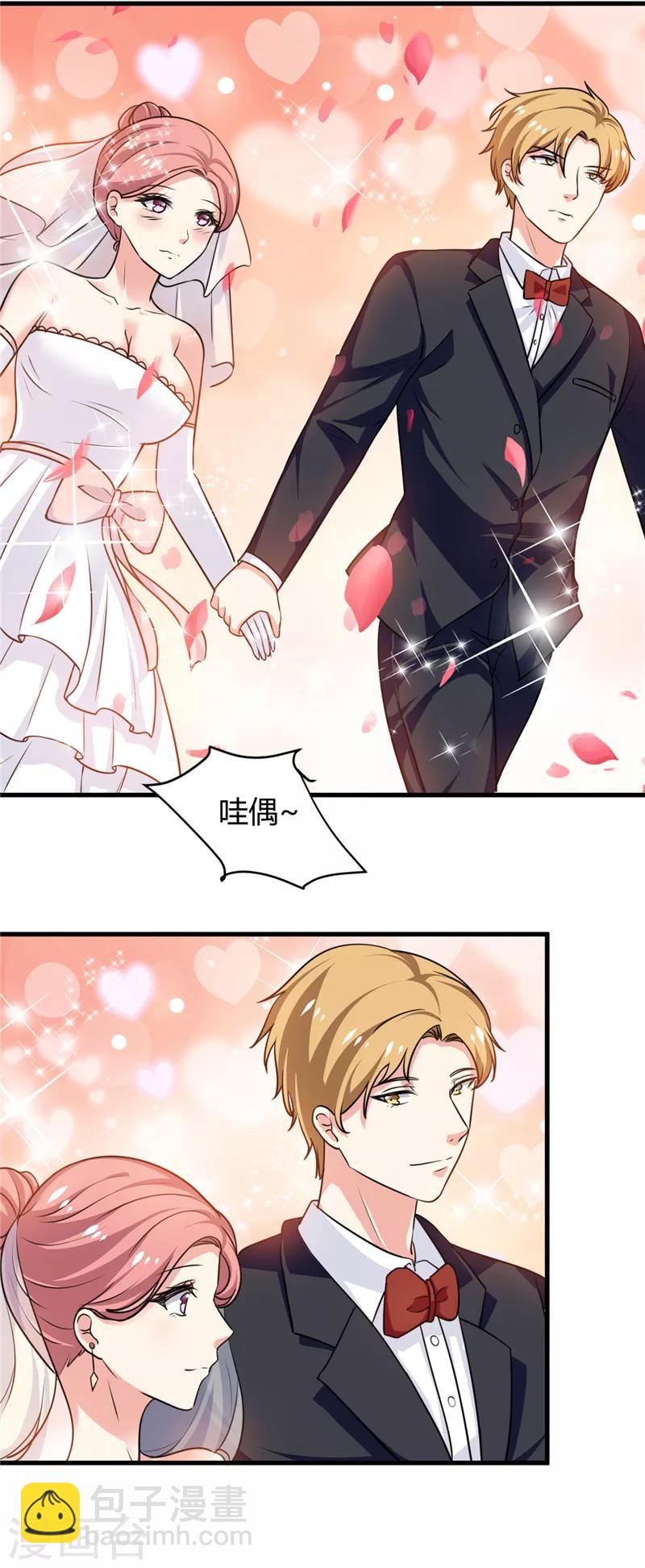 最终话 结婚吧14