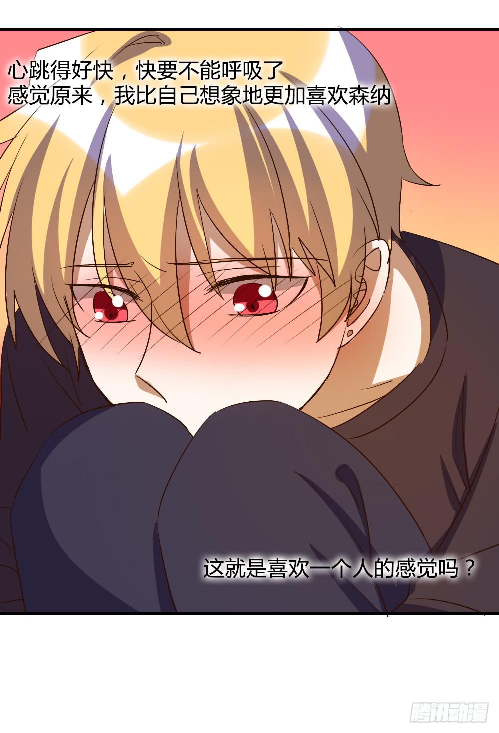 森纳的想法27
