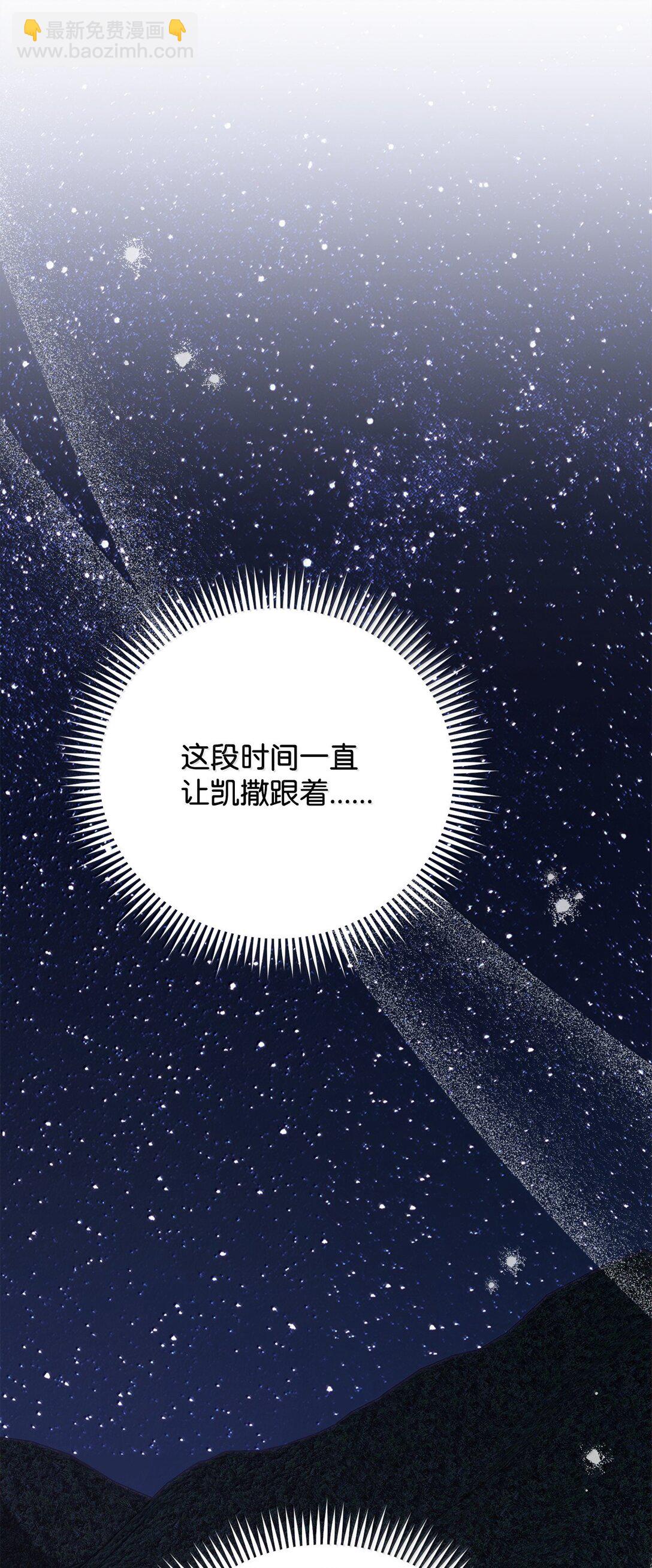 78 核心策略66