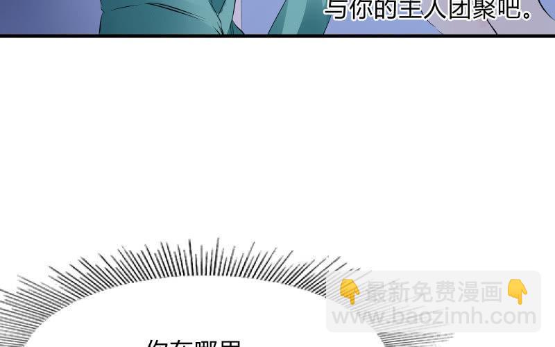 温柔的告别17