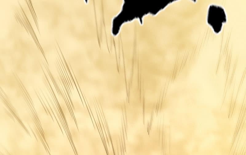 菜鸟146