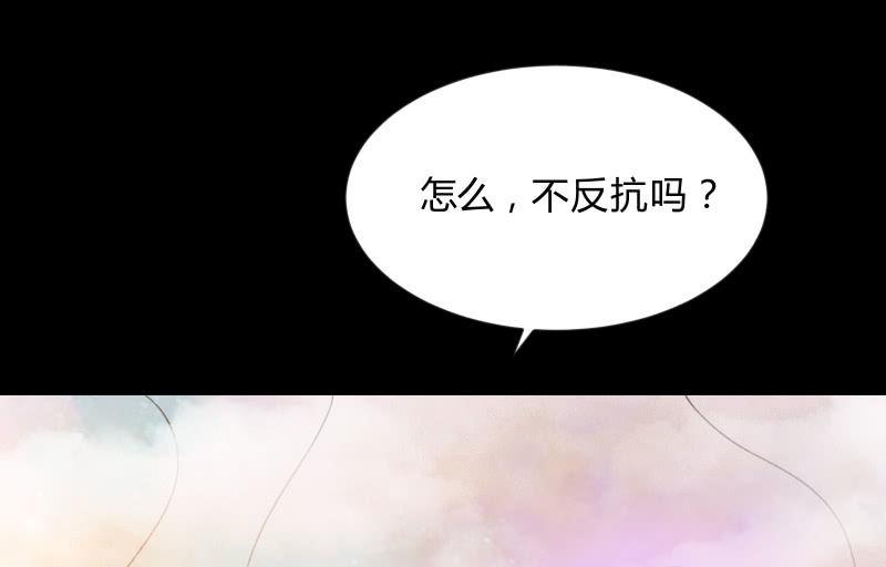 菜鸟5
