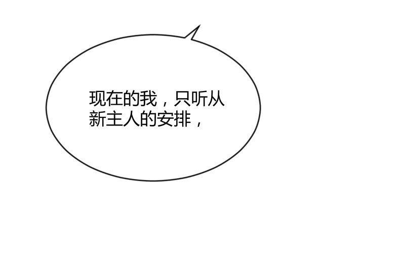 分离43