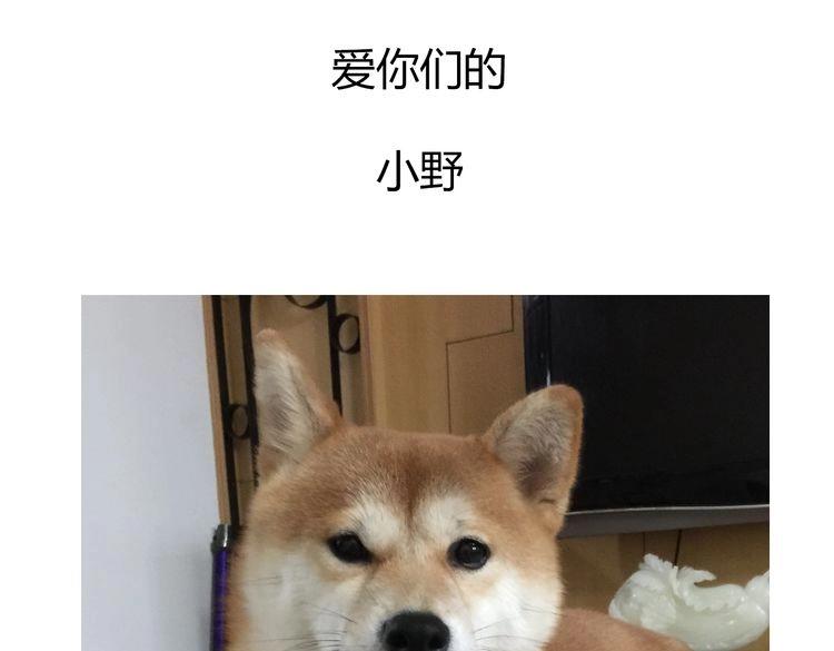 第62话 我有一生的时间用来追你121