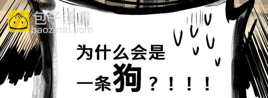 玩真的114