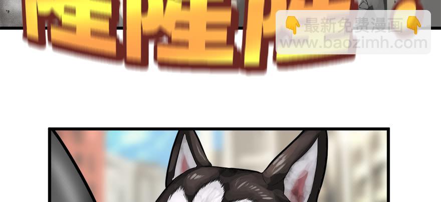 有埋伏！81