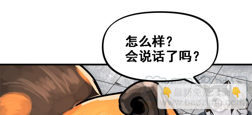 培根堡54