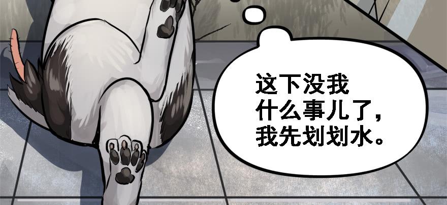 限流41