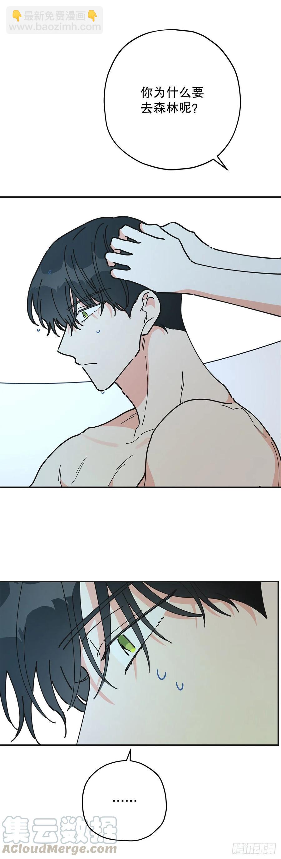 65.归队27