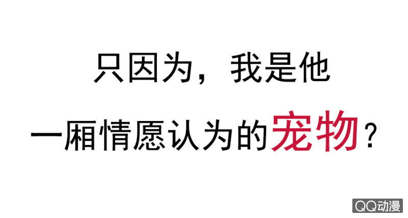 预告17