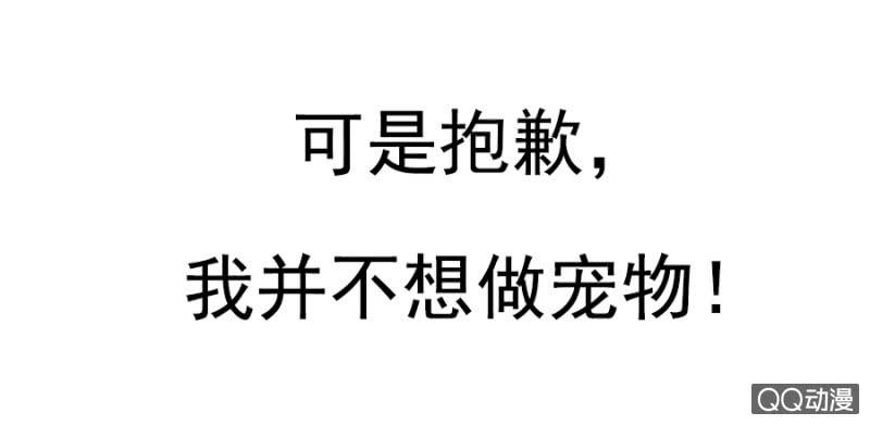 预告19