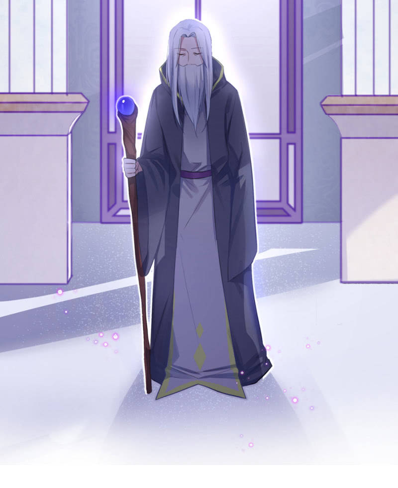 王子的血宠14