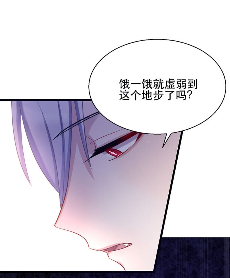 宠物的样子1
